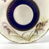 Royal Worcester porcelain cup and saucer. Robins, dated 1902. closeup
