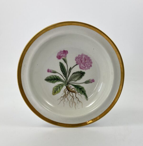 Chamberlains Worcester ‘Botanical’ dish, c. 1810