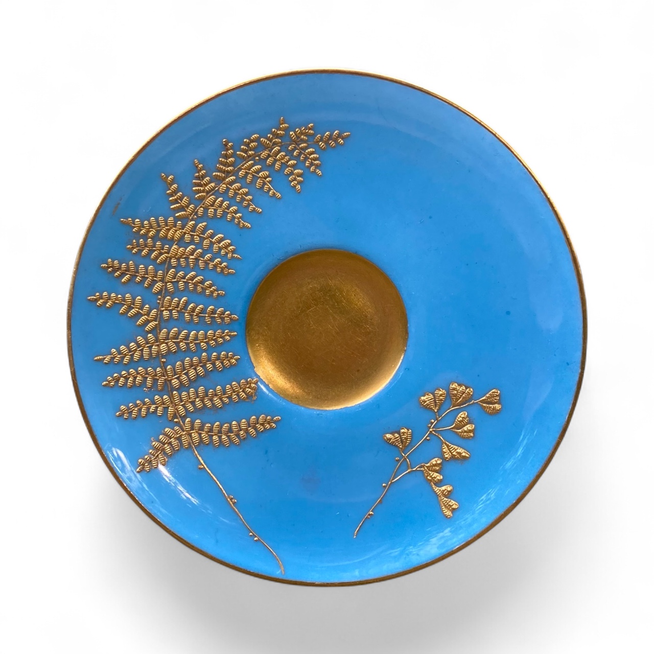 Photoroom_20251025_144208 Photoroom_20251025_144208