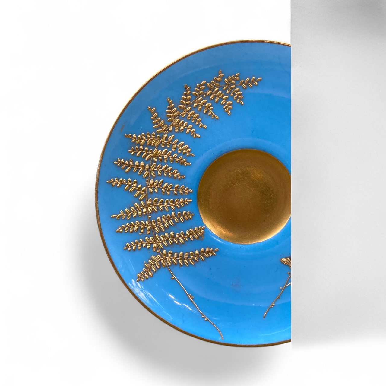 Photoroom_20251025_144237 Photoroom_20251025_144237