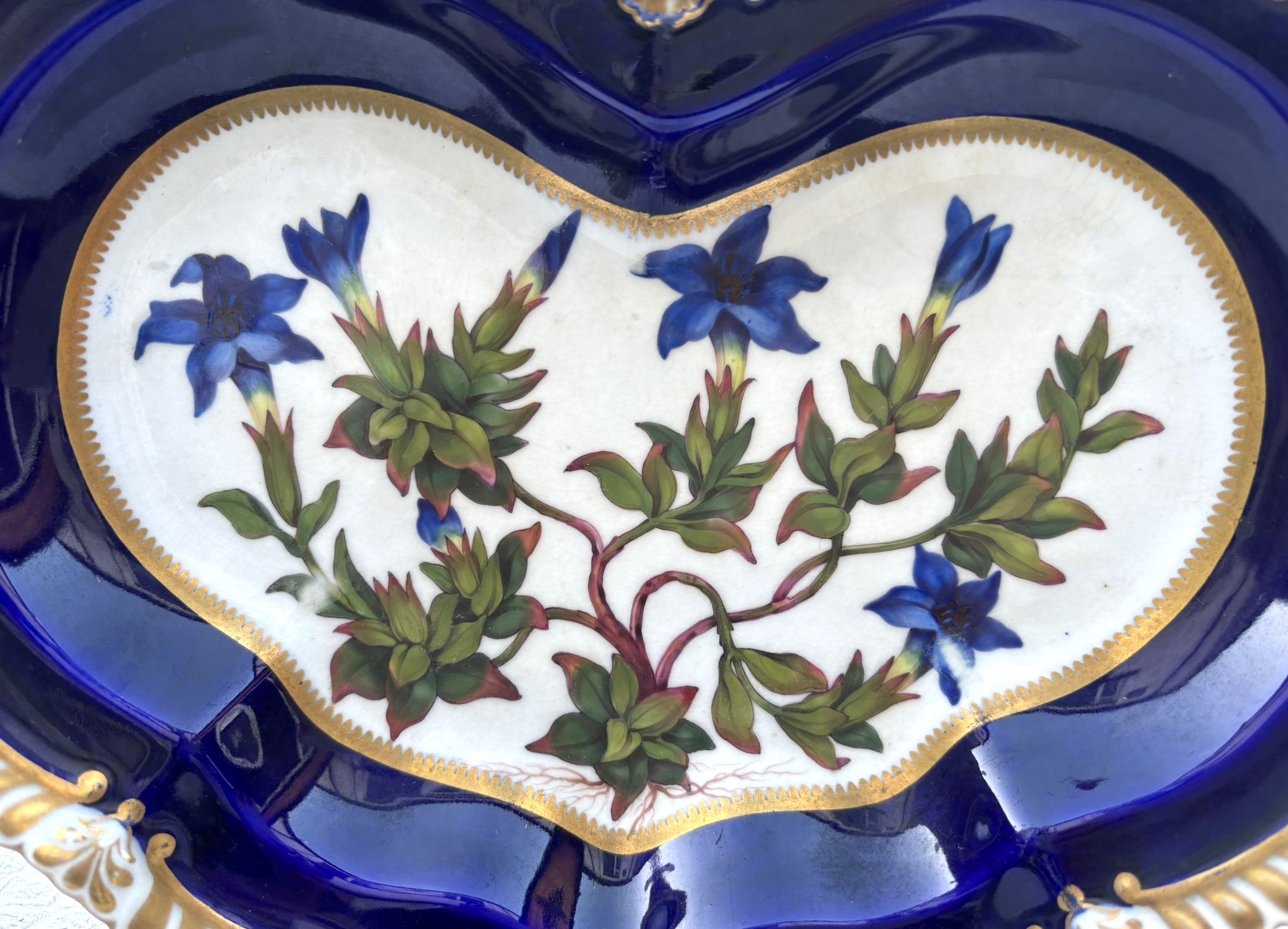 00a97e96-1efb-48c6-a527-6827a7b5a66e