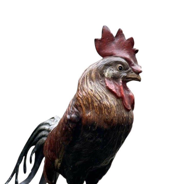 Photoroom_20251205_150530 Photoroom_20251205_150530