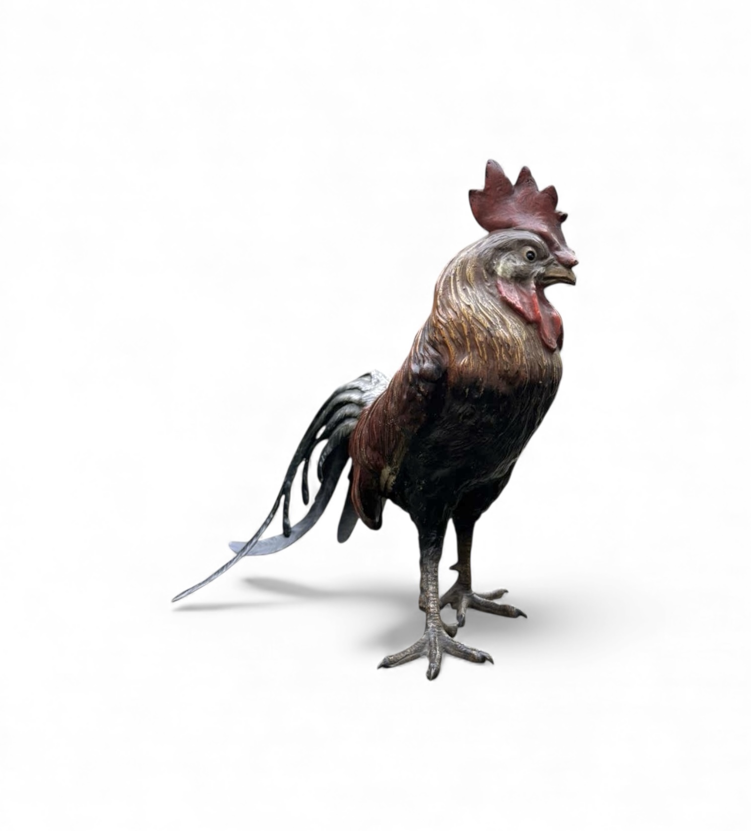 Photoroom_20251205_150744 Photoroom_20251205_150744