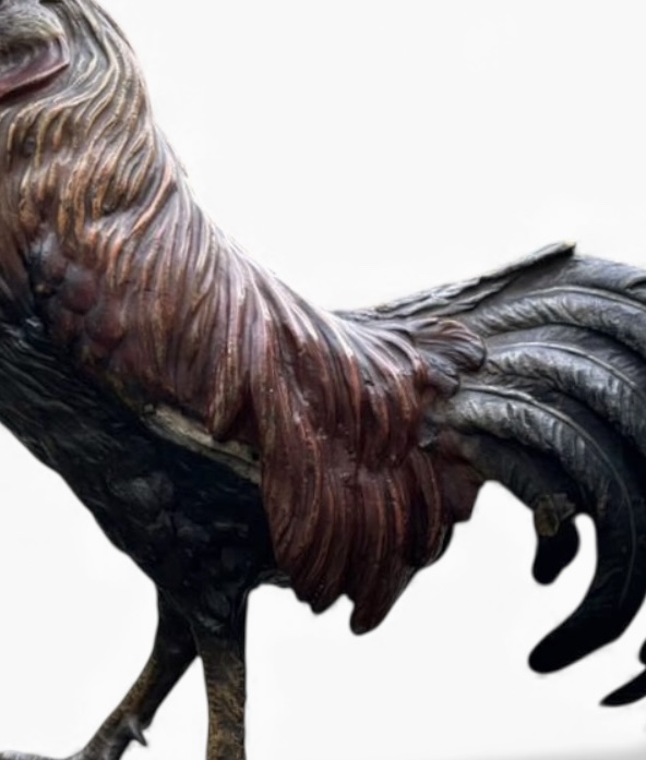 Photoroom_20251205_150915 Photoroom_20251205_150915