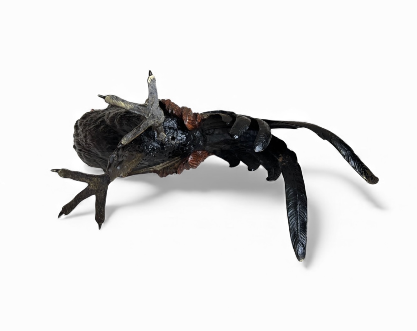 Photoroom_20251205_151339 Photoroom_20251205_151339