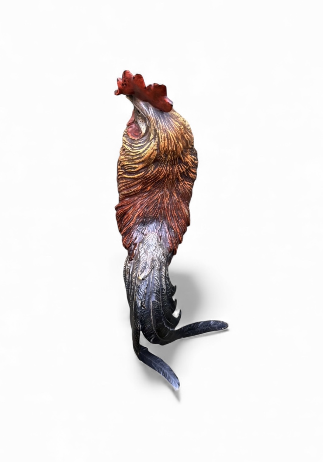 Photoroom_20251205_151818 Photoroom_20251205_151818