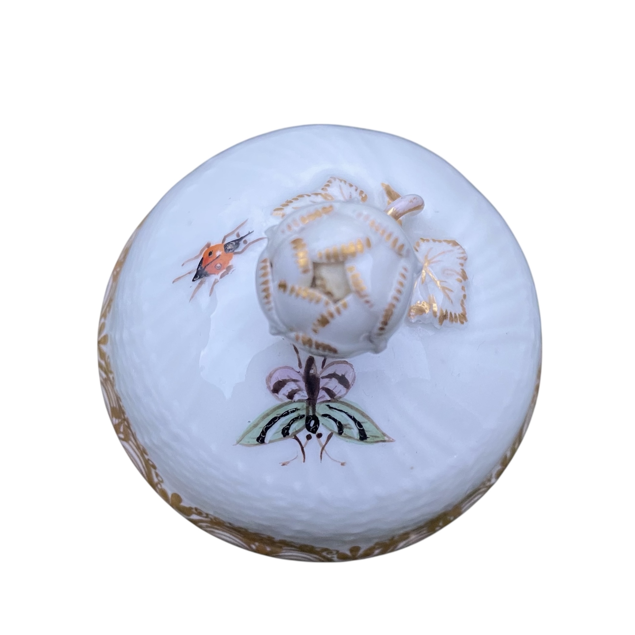 Photoroom_20251211_160712