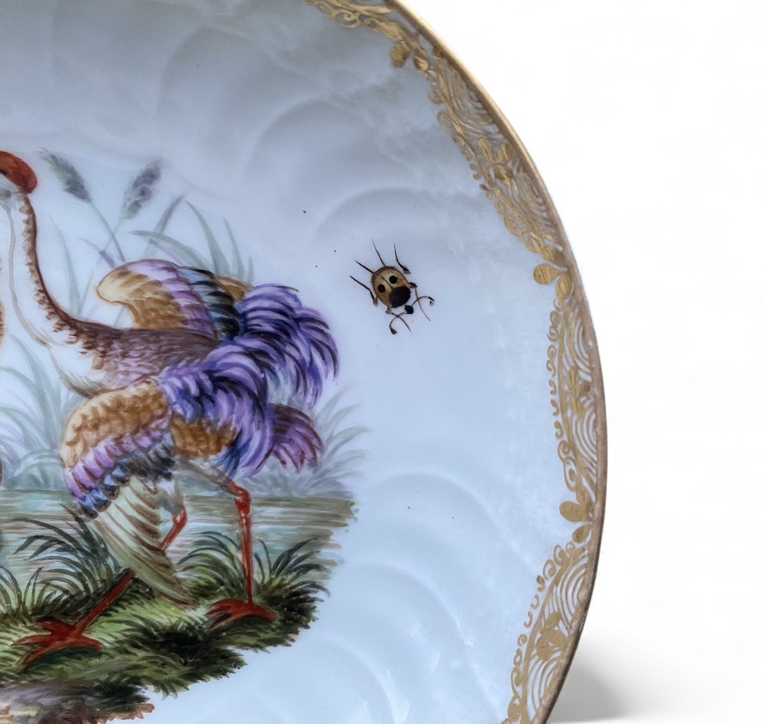 Photoroom_20251211_171154 Photoroom_20251211_171154