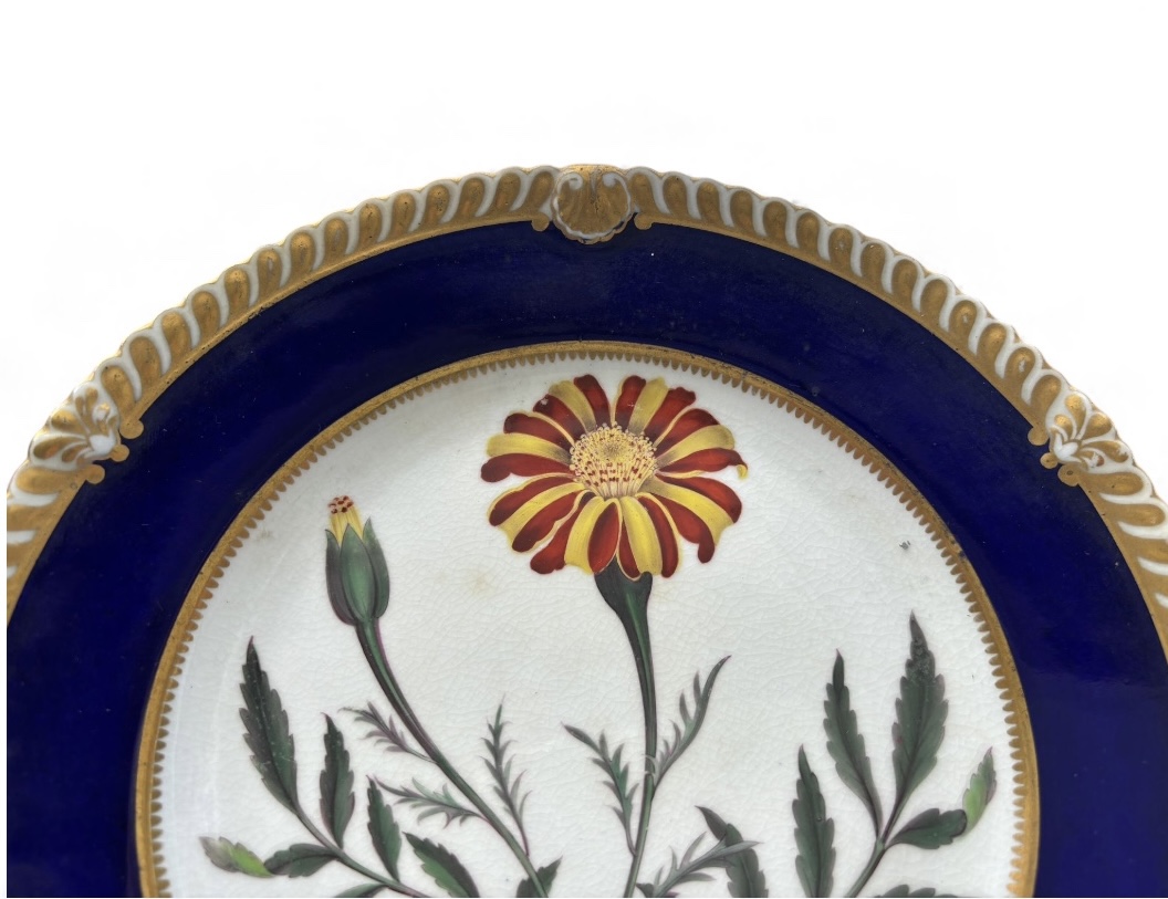 Photoroom_20251212_151114