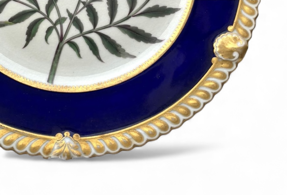 Photoroom_20251212_151156