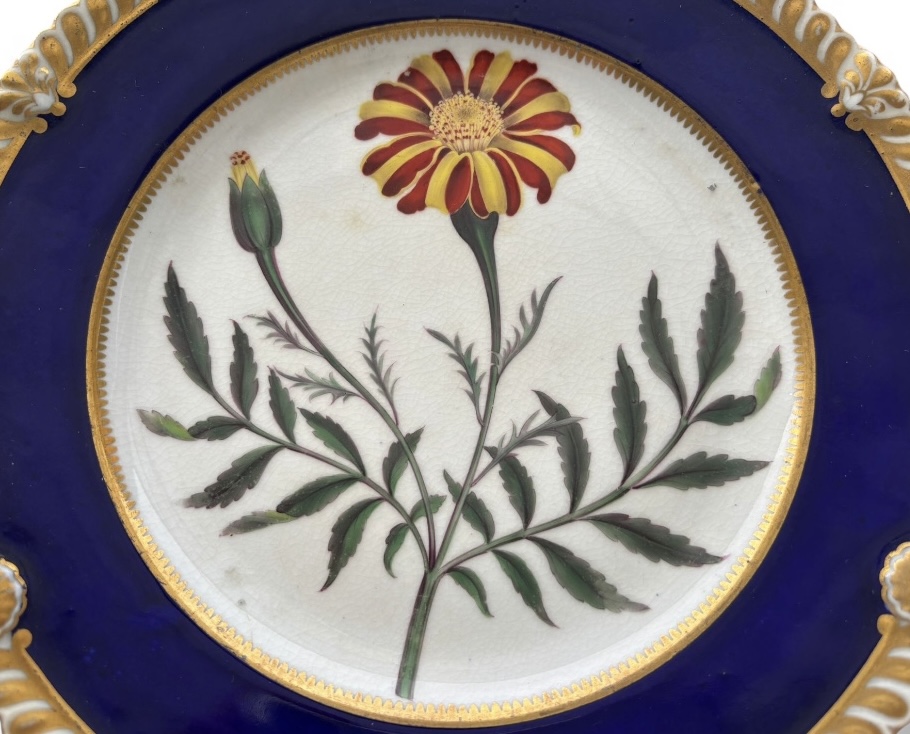 Photoroom_20251212_151314