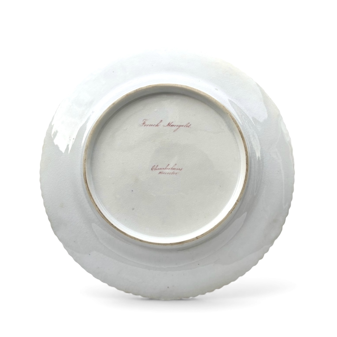 Photoroom_20251212_151508