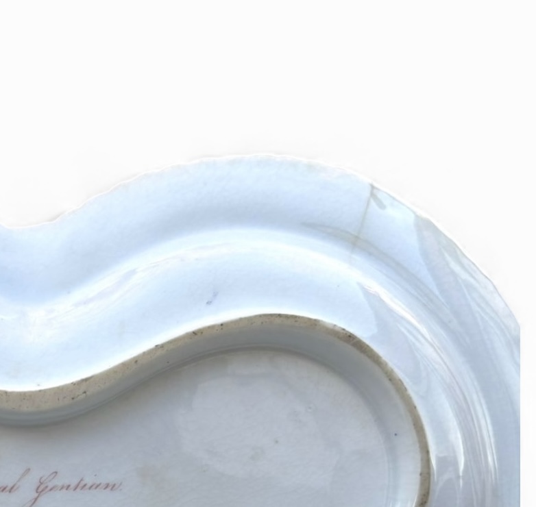 Photoroom_20251213_080421