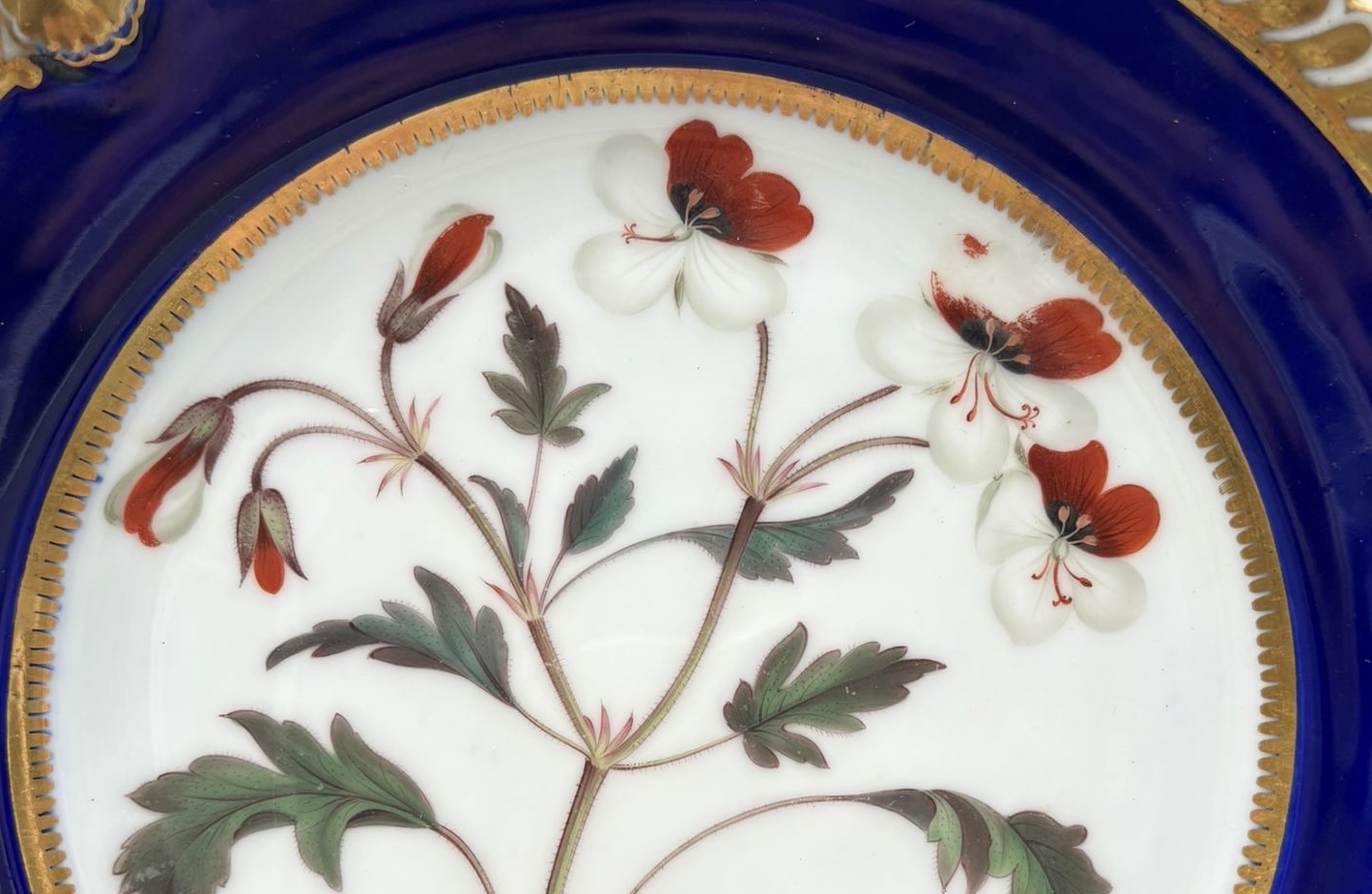 b1266378-63fe-408a-9005-72e80d06ed23