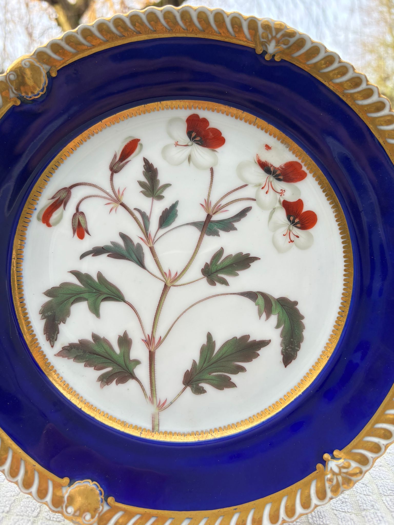 b1266378-63fe-408a-9005-72e80d06ed23