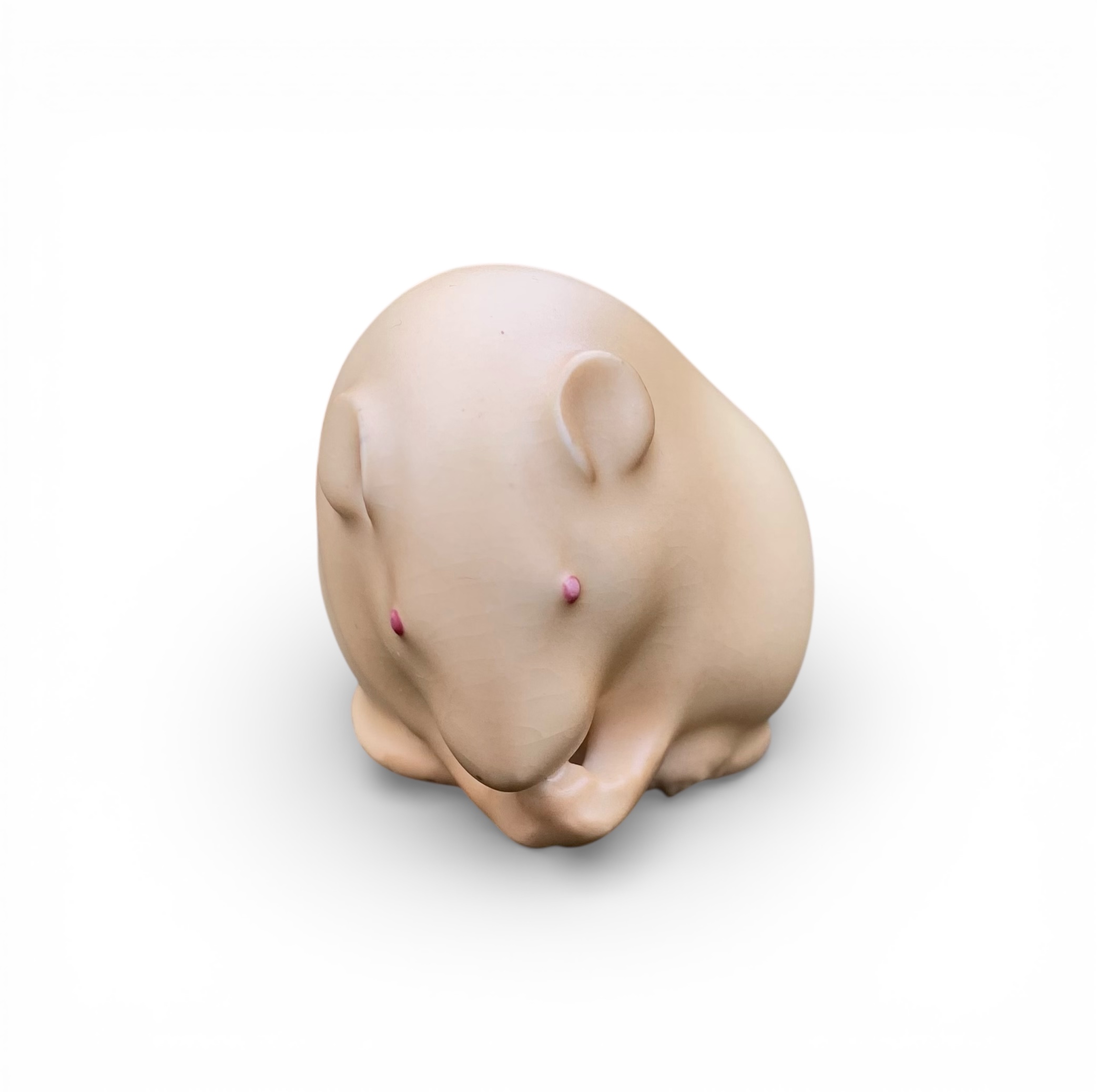 Photoroom_20260115_142323