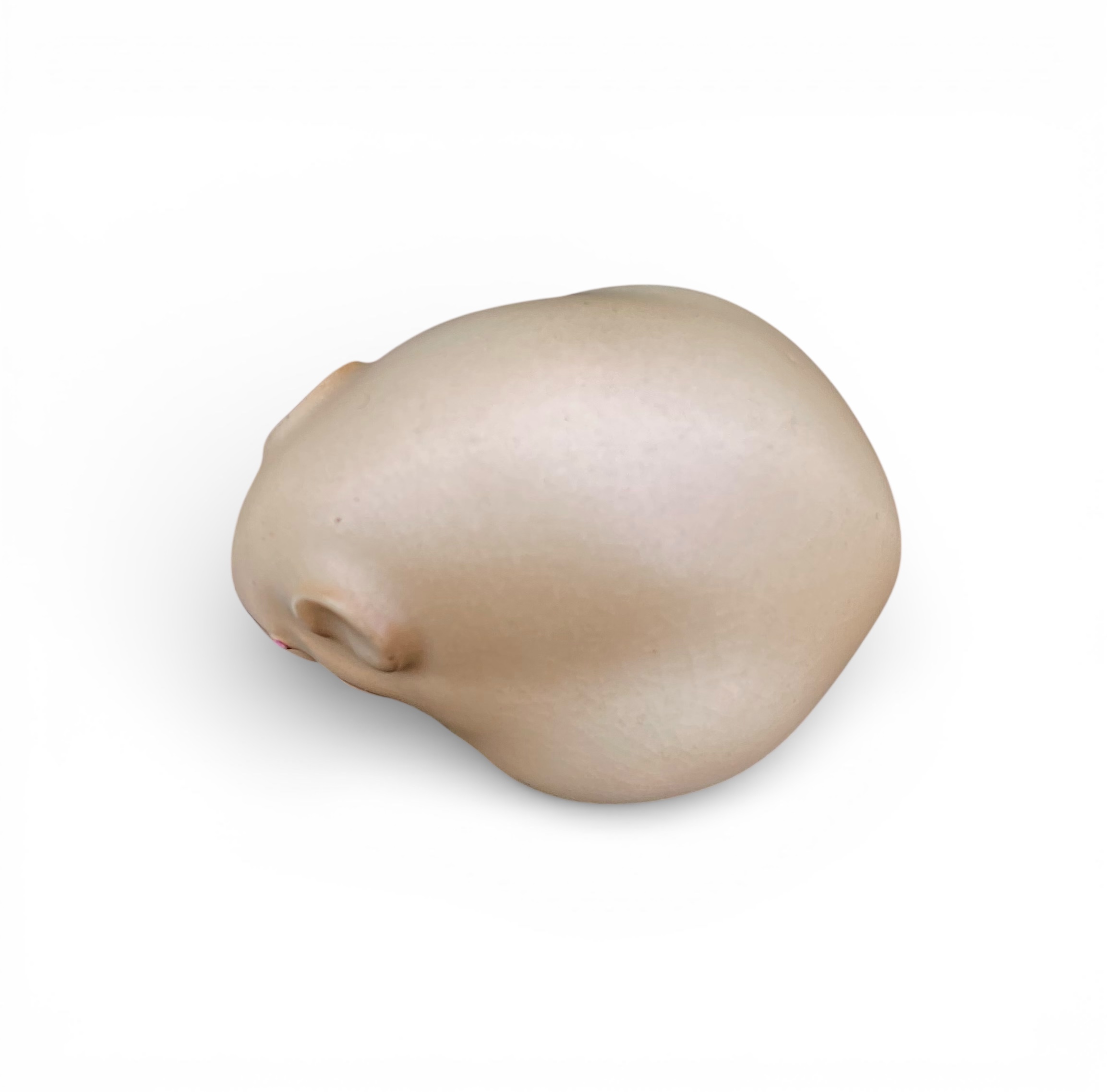 Photoroom_20260115_142420