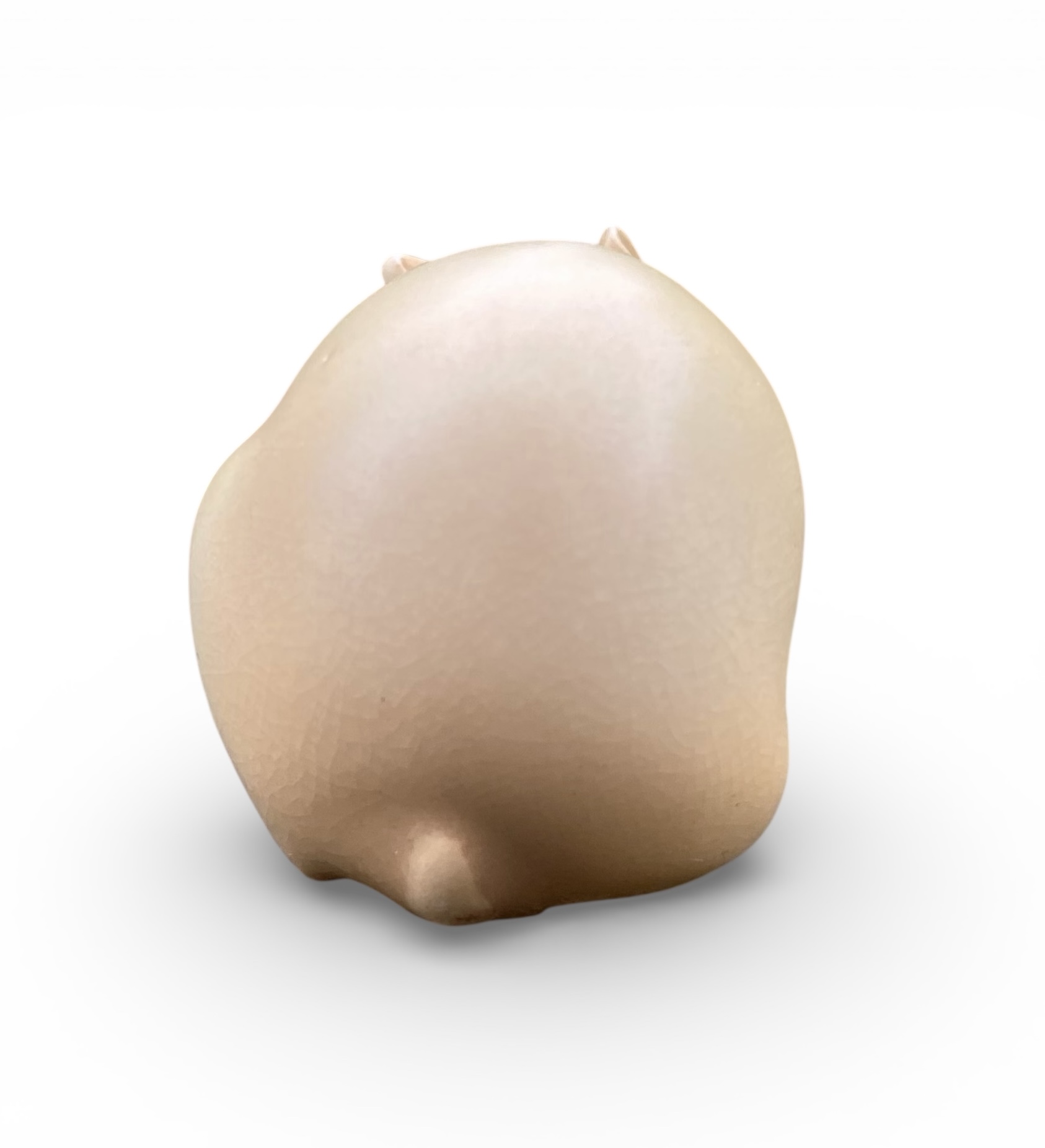 Photoroom_20260115_174657 Photoroom_20260115_174657