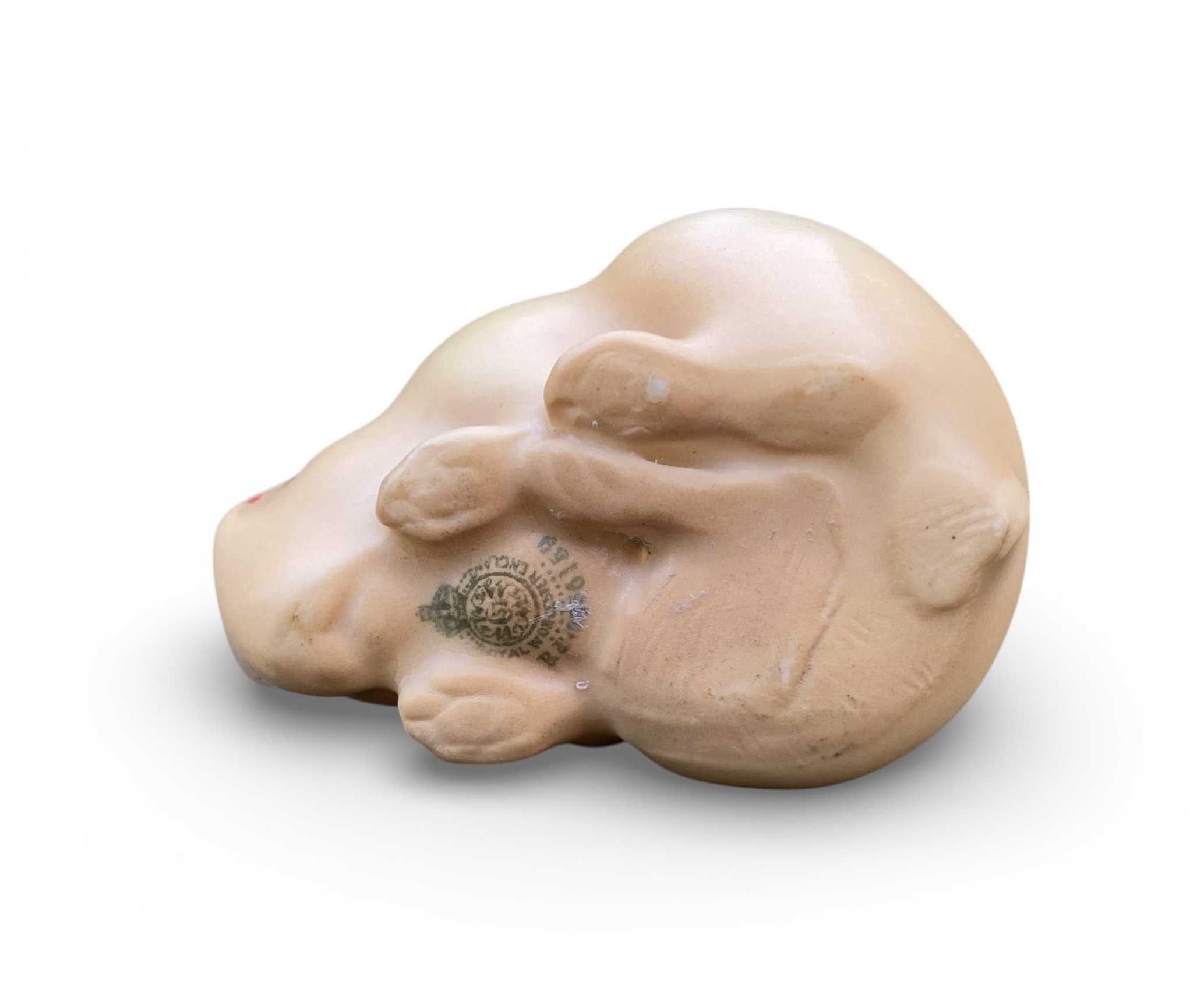 Photoroom_20260115_174719 Photoroom_20260115_174719