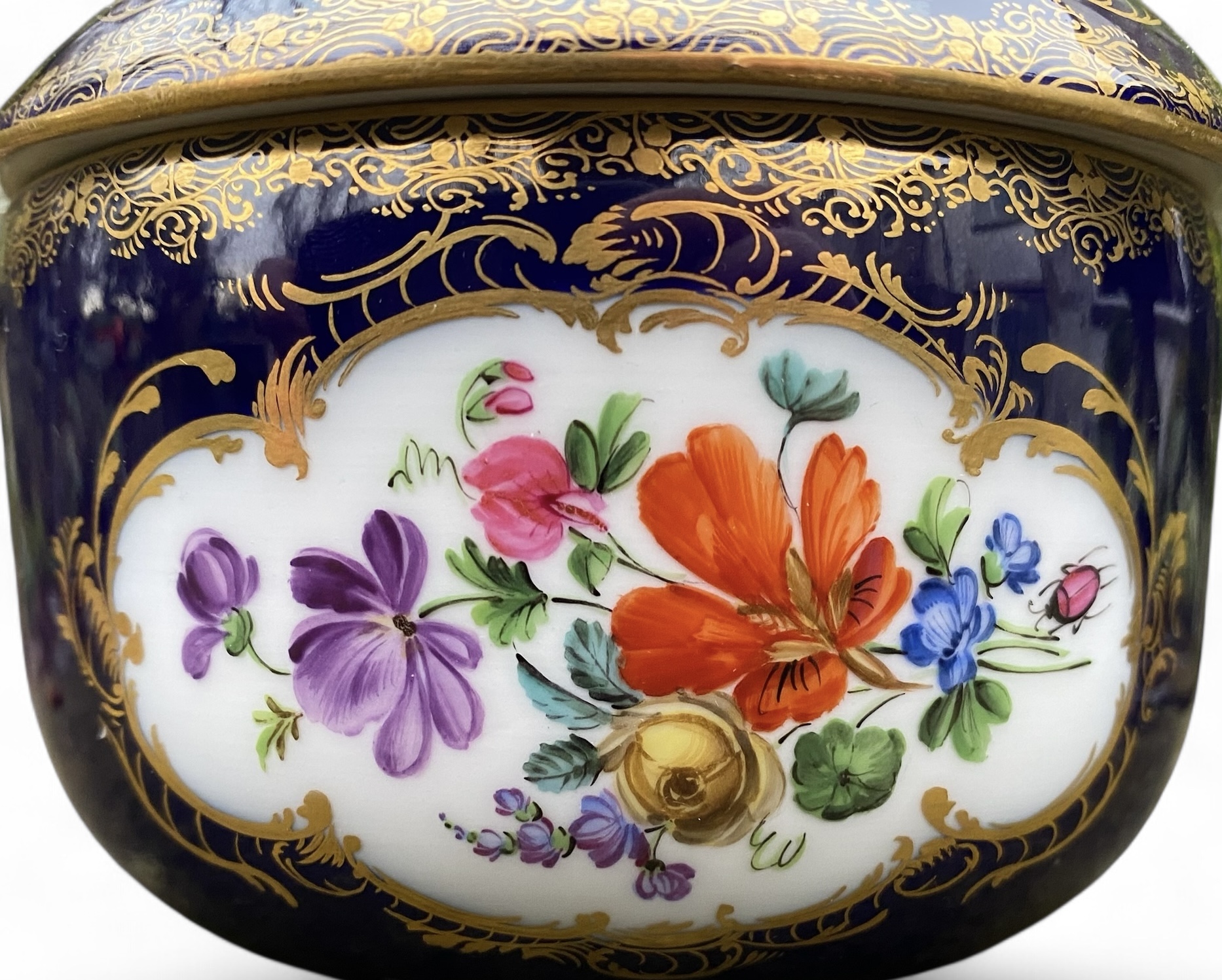 Photoroom_20260115_182409