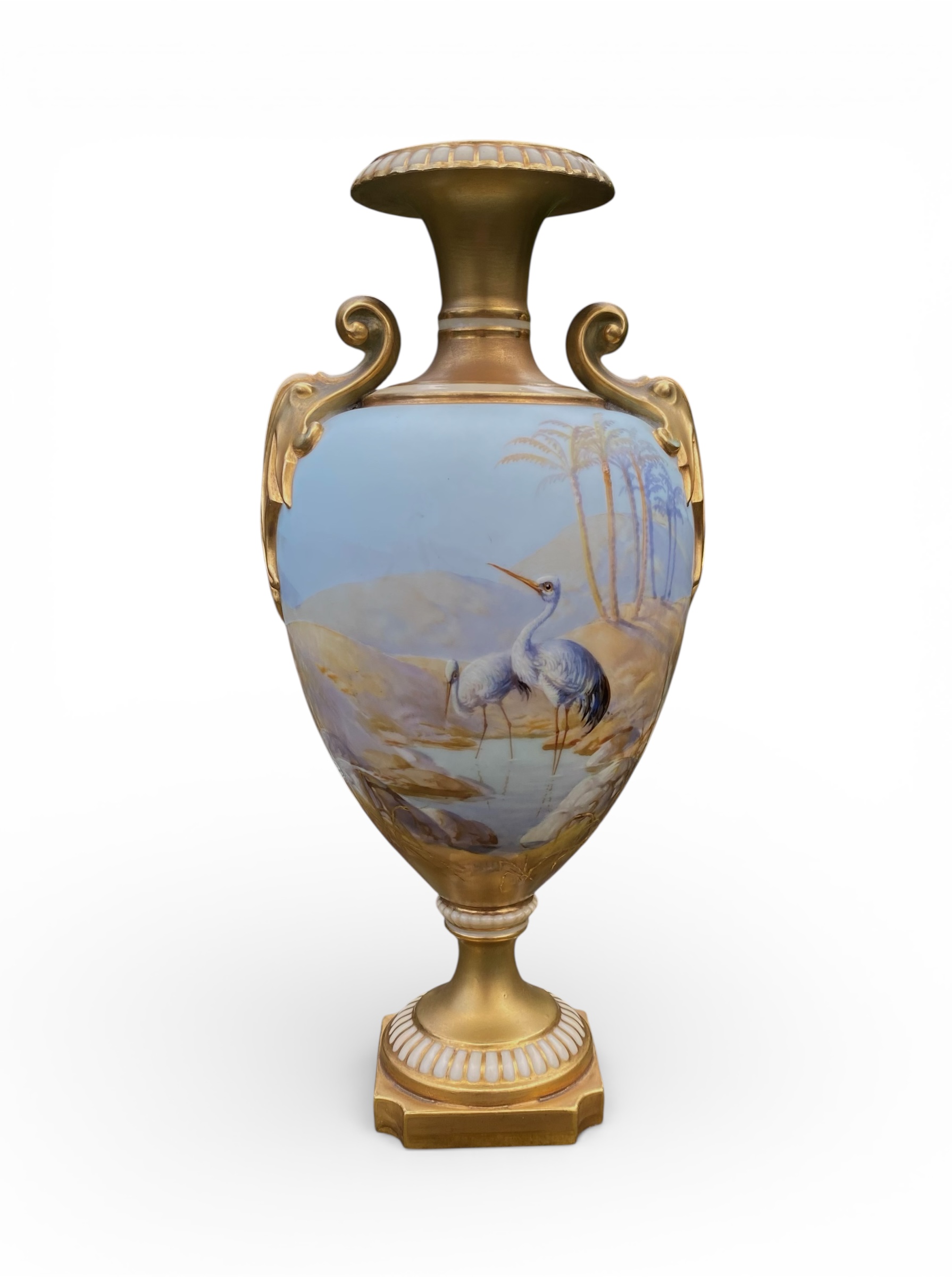 Photoroom_20260131_155759 Photoroom_20260131_155759