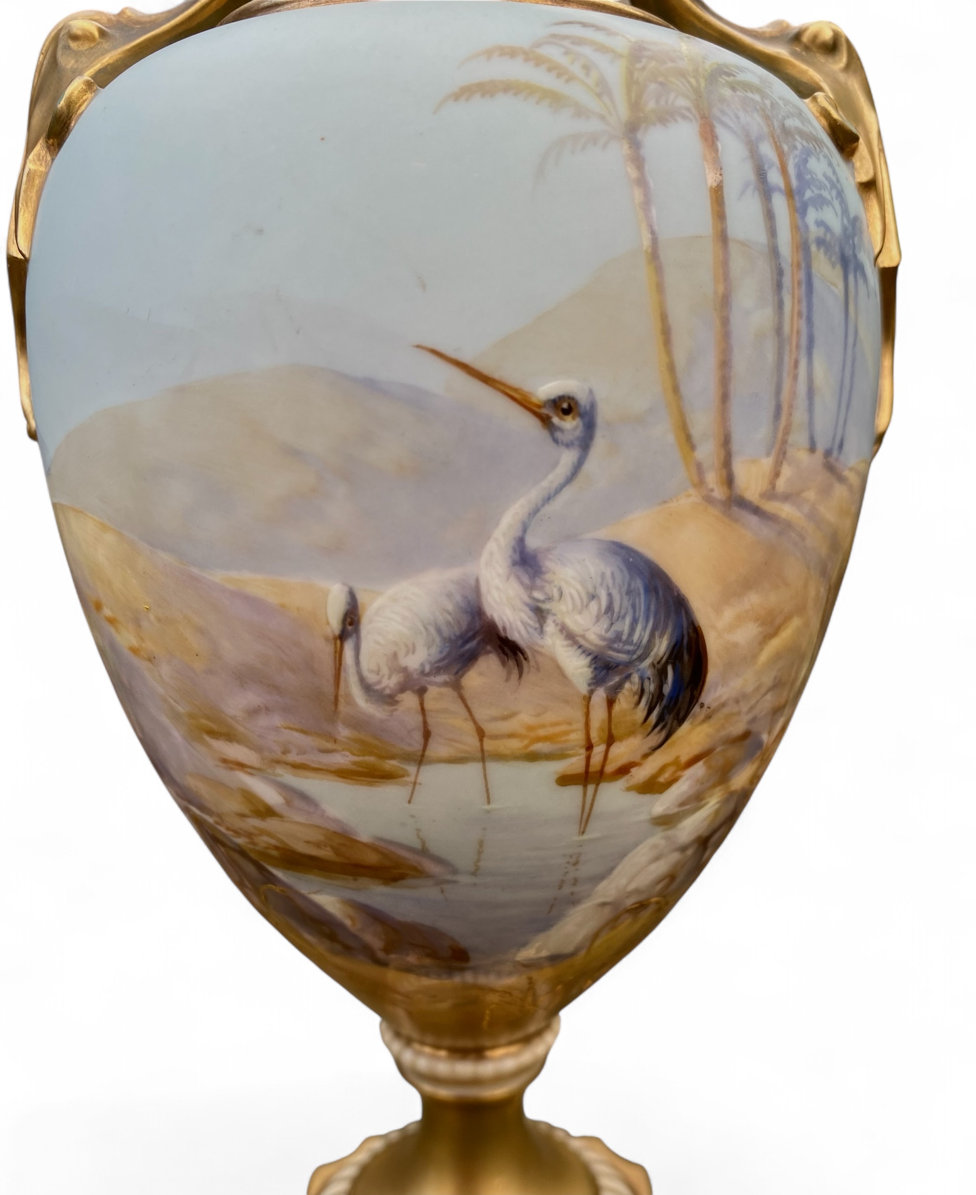 Photoroom_20260131_155822 Photoroom_20260131_155822