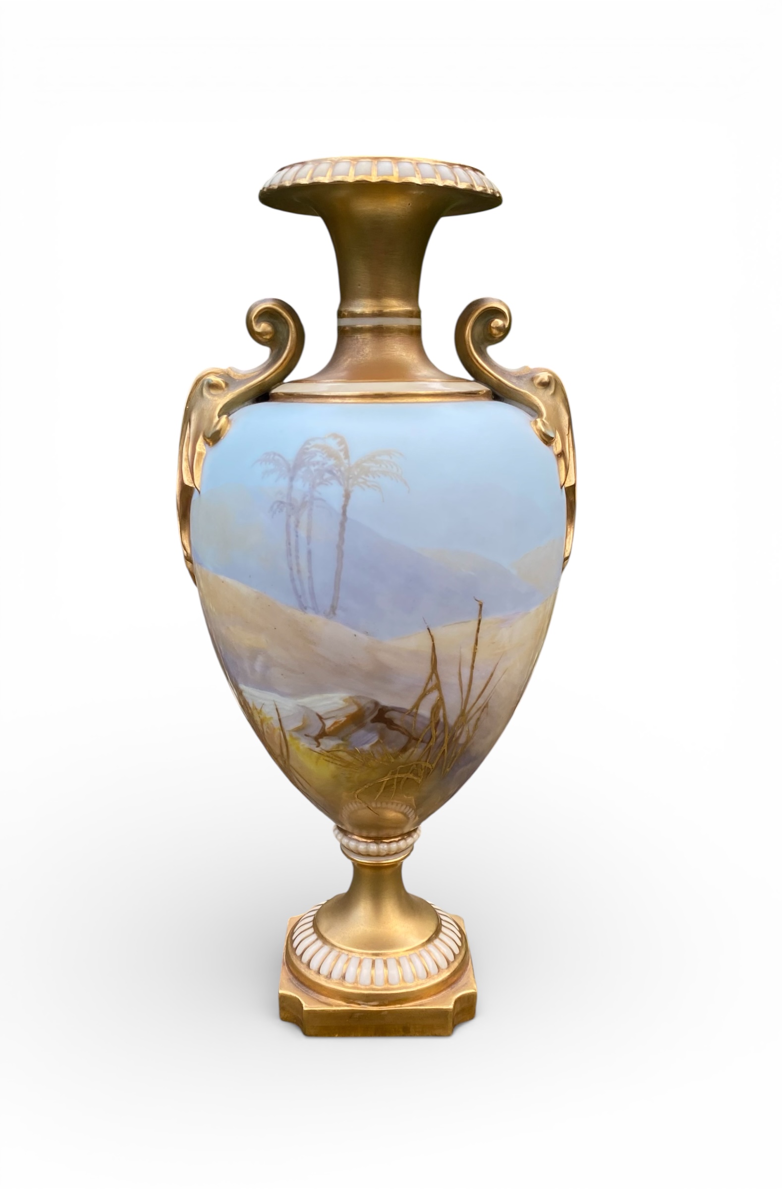 Photoroom_20260131_155901 Photoroom_20260131_155901