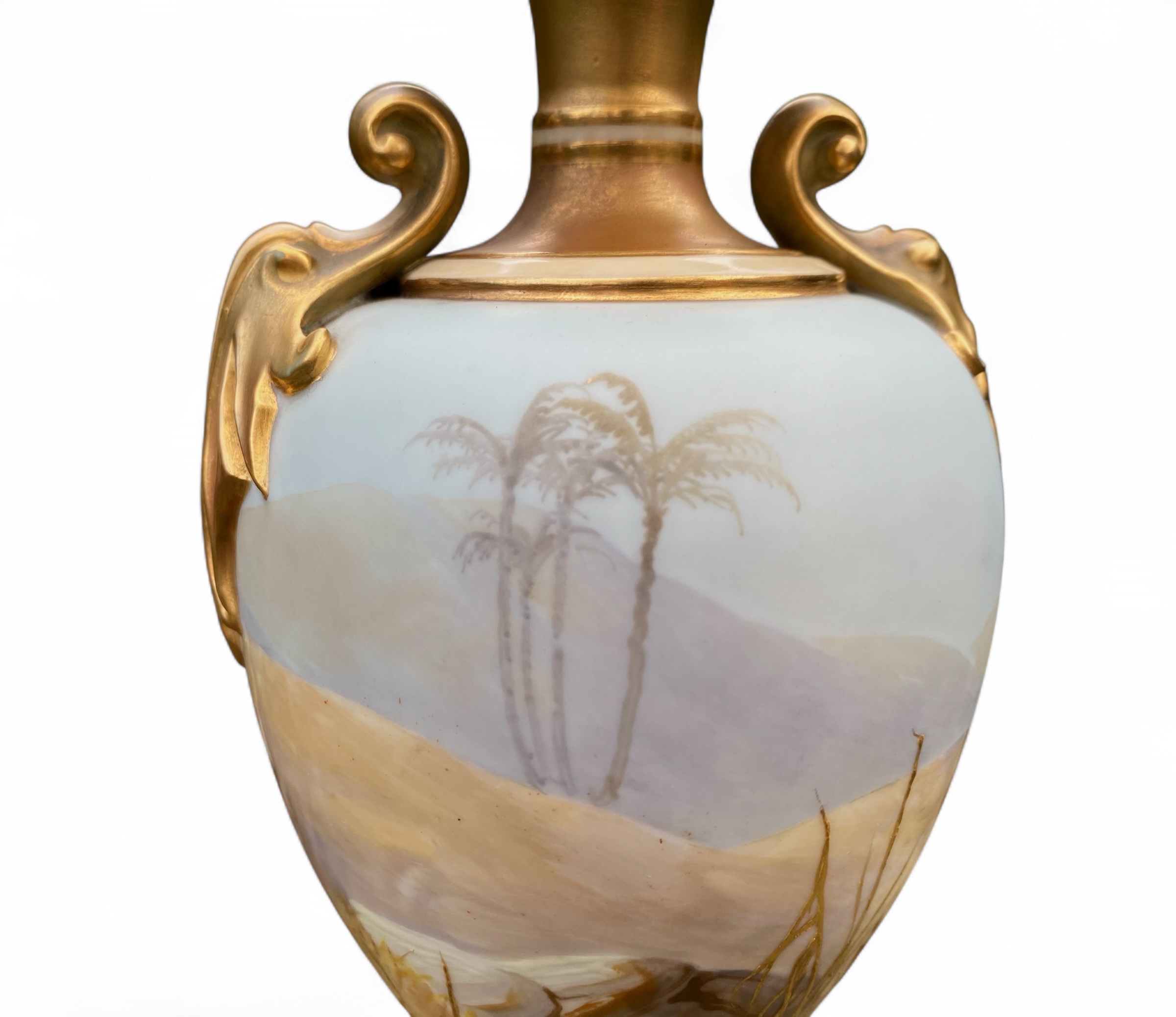 Photoroom_20260131_160007 Photoroom_20260131_160007