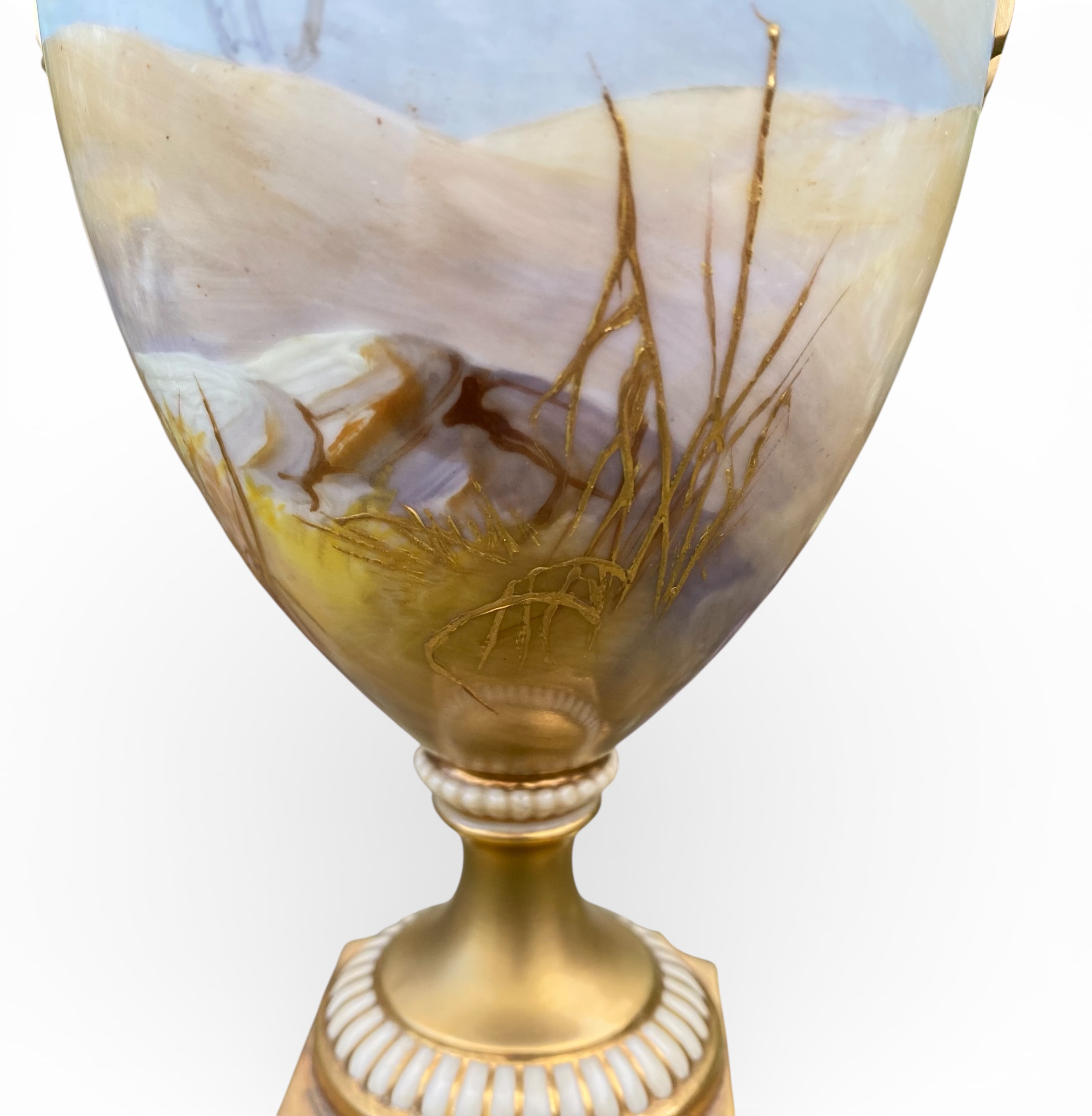 Photoroom_20260131_160028 Photoroom_20260131_160028