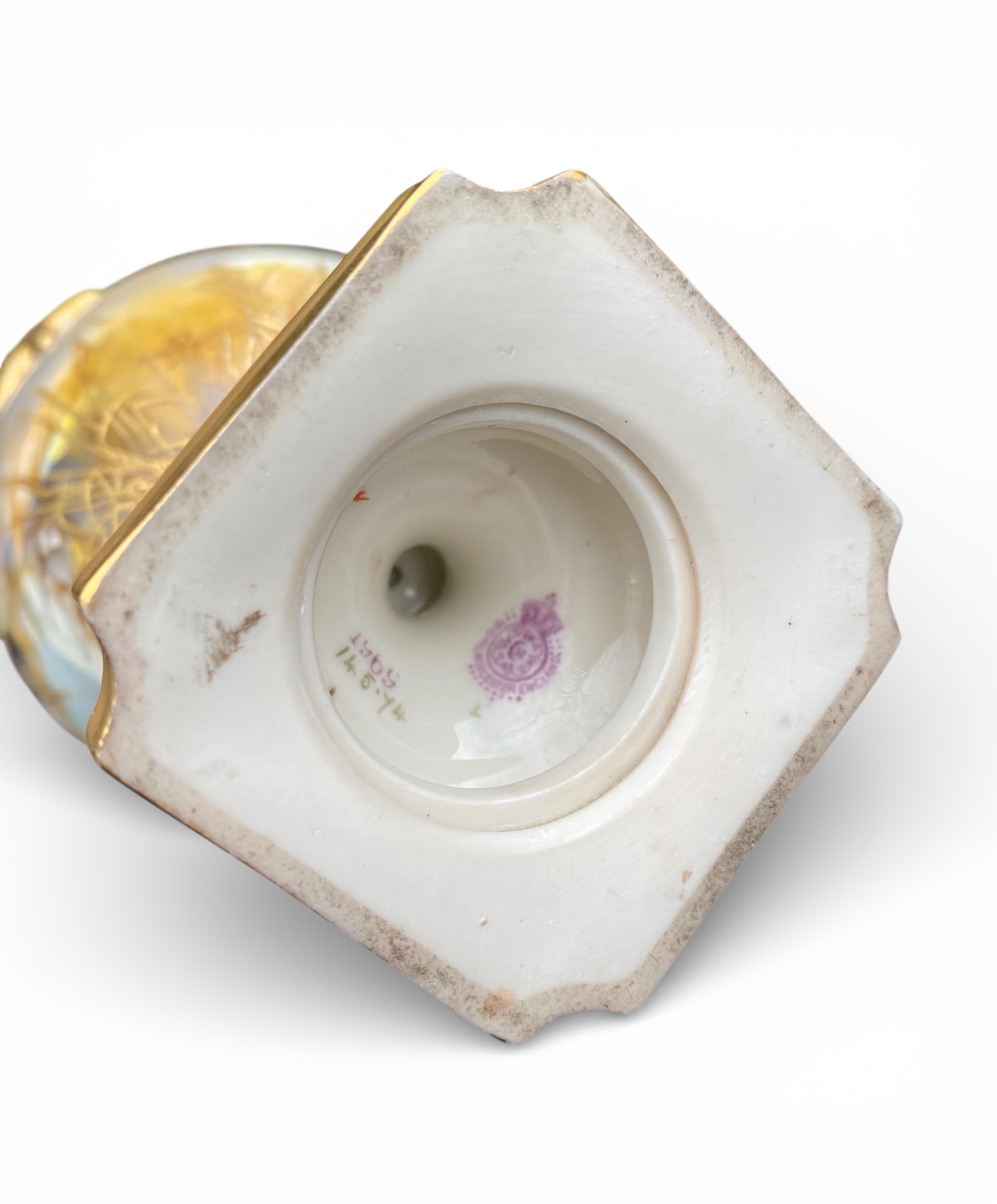 Photoroom_20260131_160231 Photoroom_20260131_160231