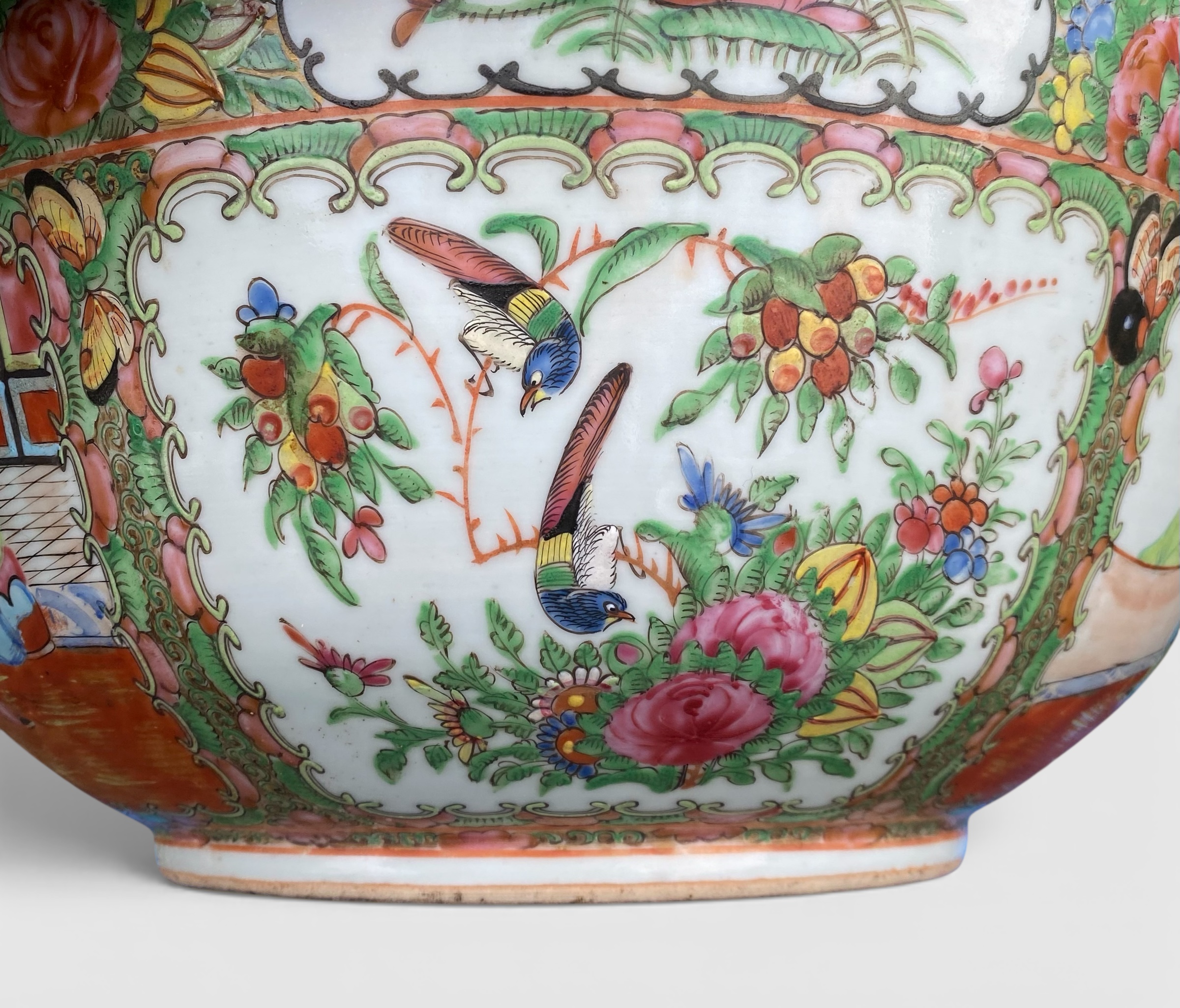 Photoroom_20260212_143246