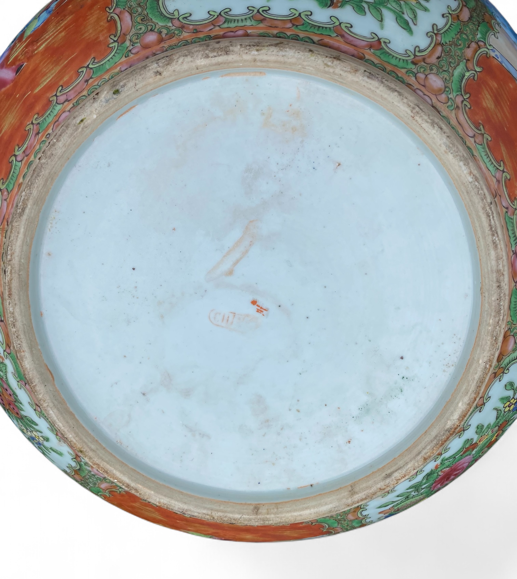 Photoroom_20260212_143554