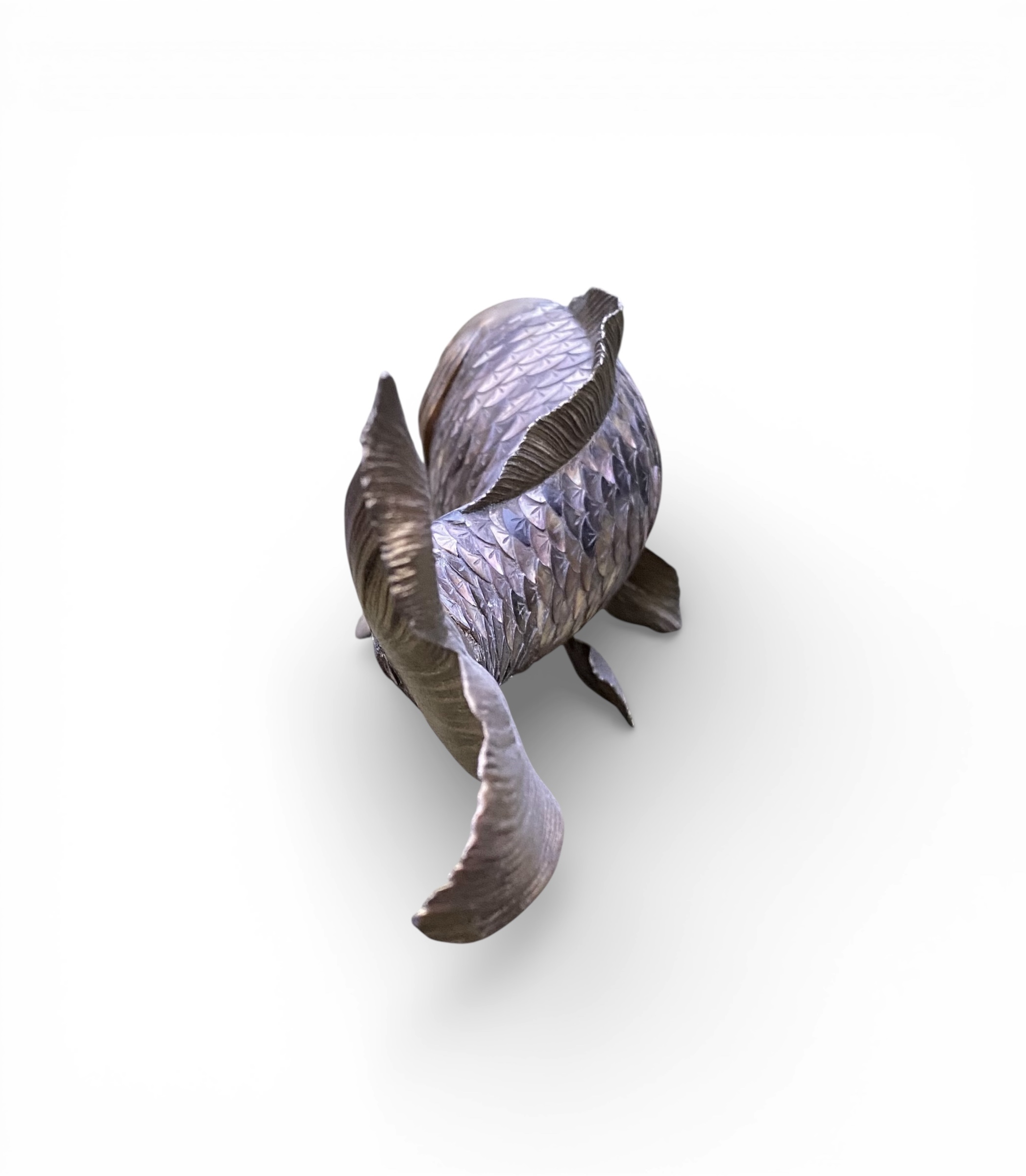 Photoroom_20260214_172717