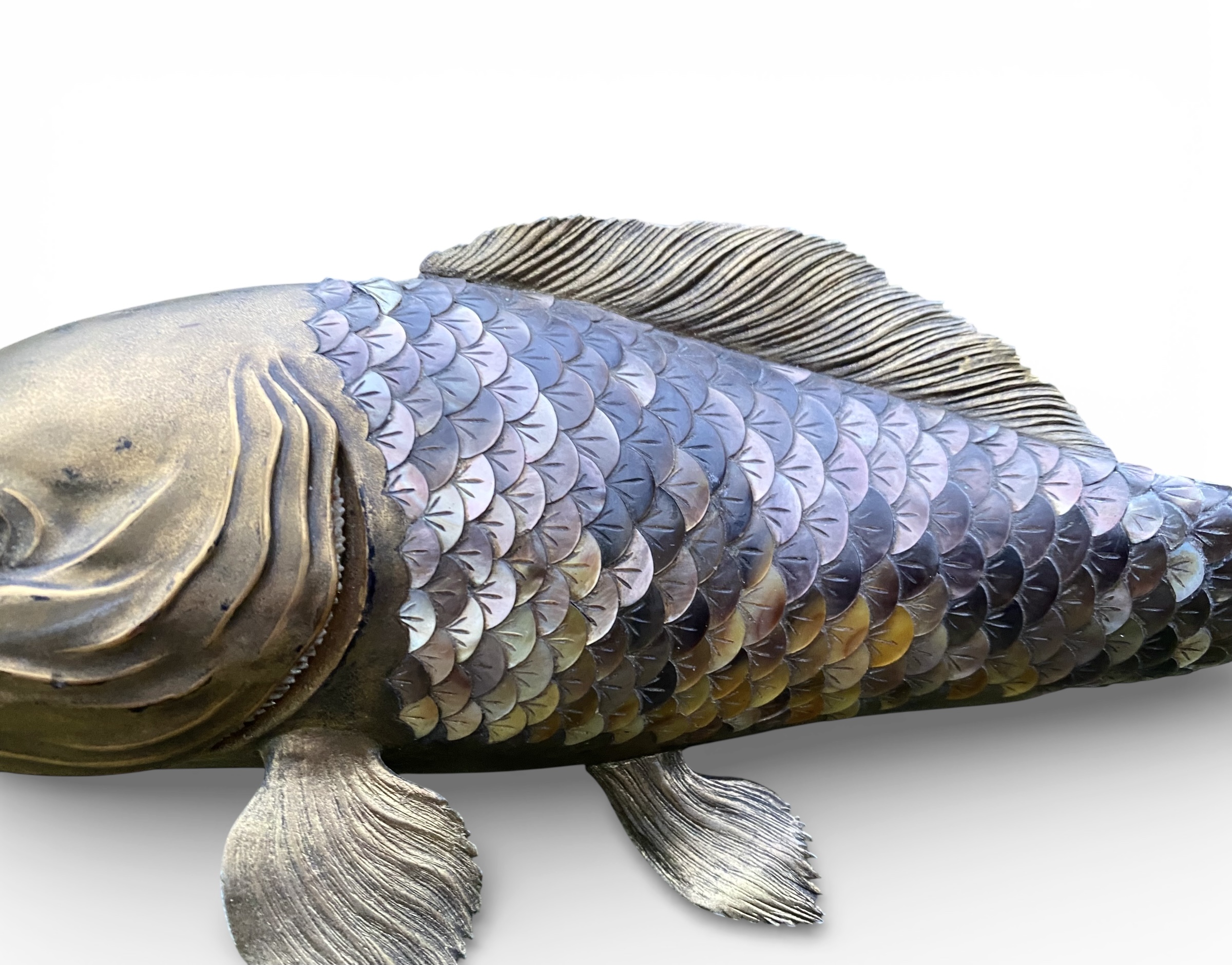 Photoroom_20260214_172804