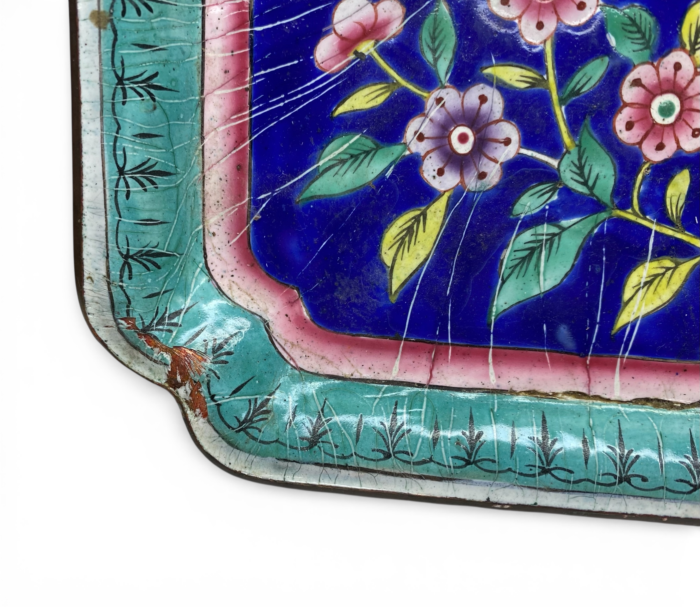 Photoroom_20260221_164237 Photoroom_20260221_164237